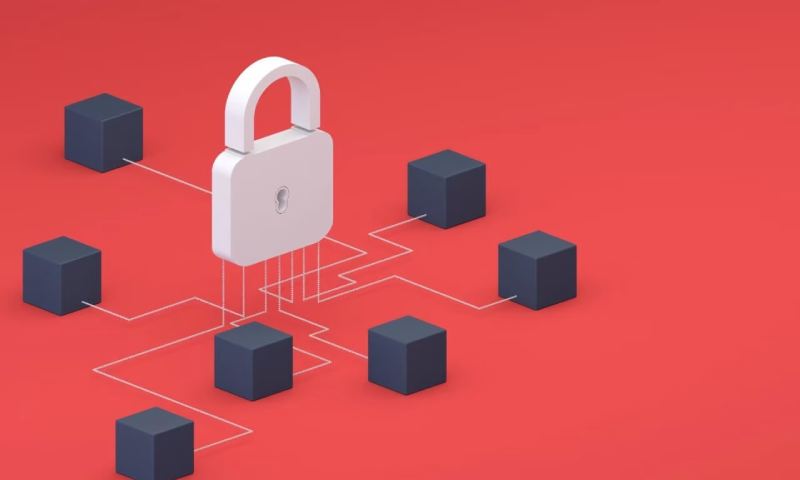 成都本地企业官网建设：一站式包维护，省心省力筑线上根基