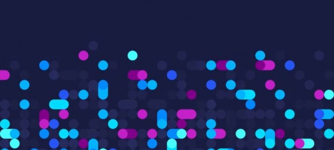 创新赋能！成都网站建设公司探索前沿编程，重塑网站性能新高度