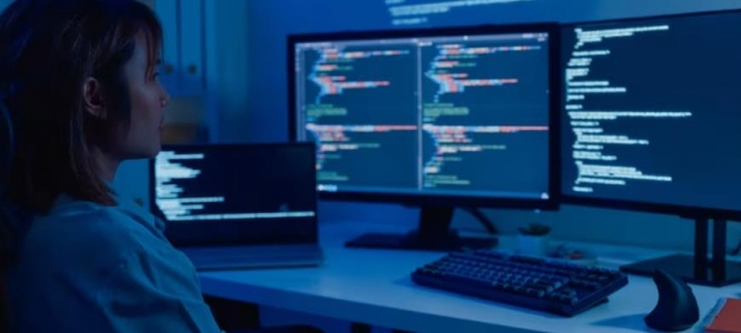 成都中小企业官网定制方案：以自然美学+轻量化设计，破局线上增长困局