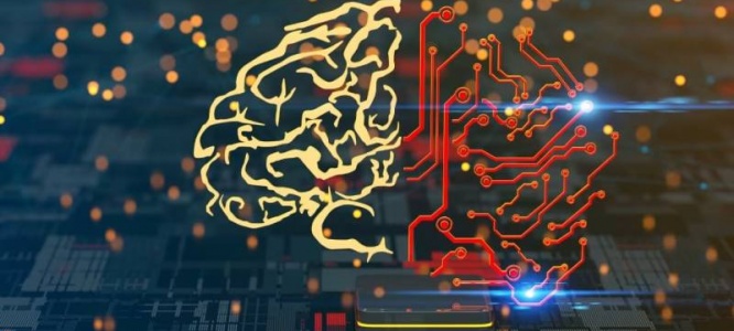 品牌展示型网站定制开发：以专属设计，彰显品牌独特价值