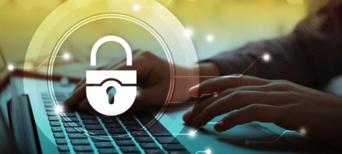 成都网站设计：拟物2.0+微互动，解锁品牌与用户深度连接密码