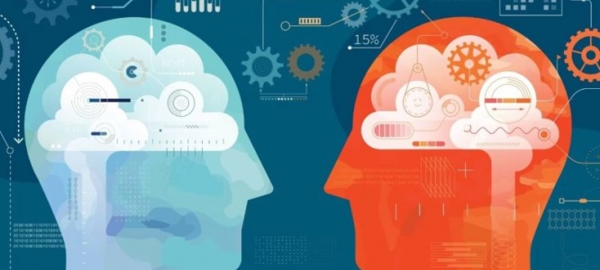 聚焦成都外贸！专属多语言网站建设：精准定制，打通全球贸易沟通桥梁