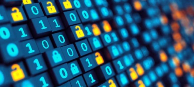 成都本地企业官网建设包维护：以拟物设计2.0+无缝滚动，夯实线上长效根基