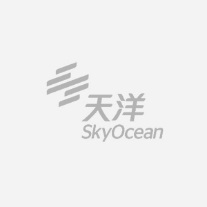 天洋集团